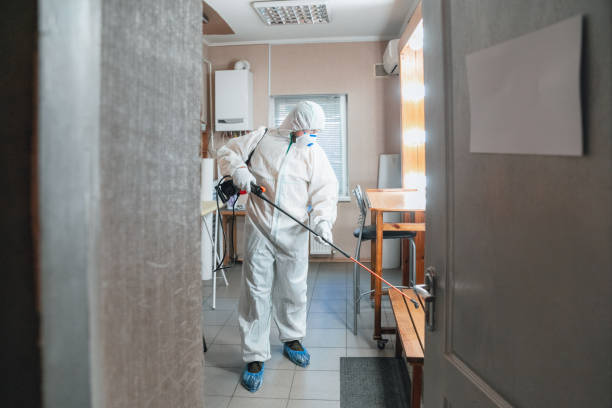 Best Post-Construction Mold Inspection  in Chapin, SC