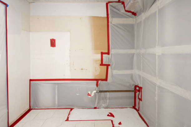 Best Attic Mold Removal  in Chapin, SC