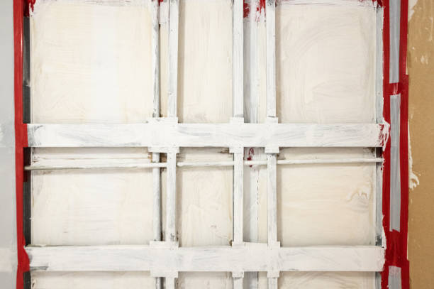 Mold Odor Removal Services in Chapin, SC