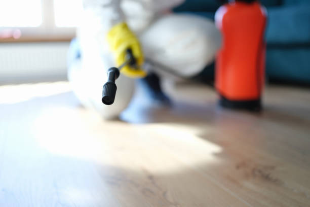 Best Asbestos and Lead Testing During Mold Inspection  in Chapin, SC