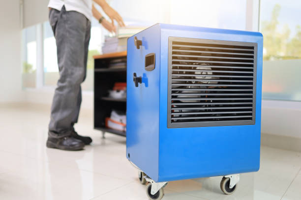 Best Mold Documentation for Insurance Claims  in Chapin, SC