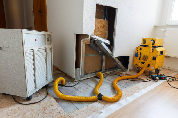 Best Water Damage & Mold Remediation  in Chapin, SC